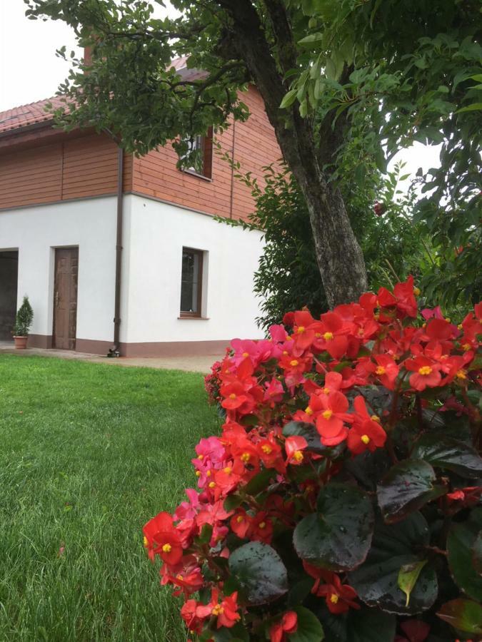 Kasztanowa *